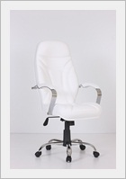 ofis koltukları, ofis koltuğu, alva krom ayaklı